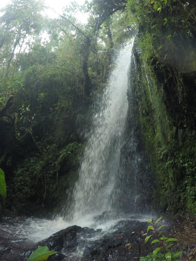 Cabana De Montana La Magnolia, Cerro De La Muerte De La Canuela Cloud Forest Tres de Junio Buitenkant foto