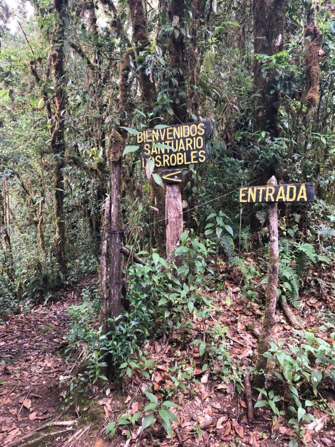 Cabana De Montana La Magnolia, Cerro De La Muerte De La Canuela Cloud Forest Tres de Junio Buitenkant foto